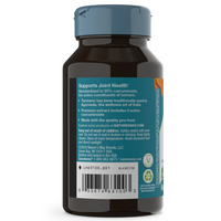 Thumbnail for Turmeric Premium Extract