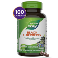 Thumbnail for Black Elderberry