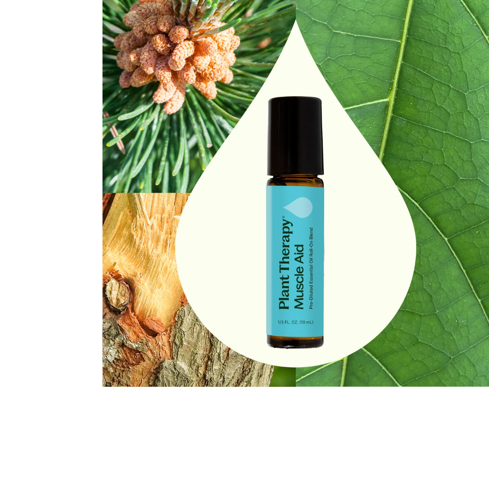 Mezcla de aceites esenciales para alivio muscular, premezclada con roll-on