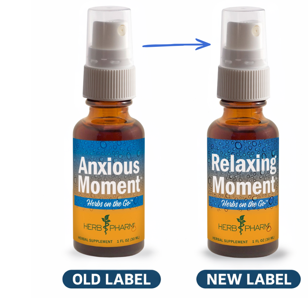 Herbs on the Go: Relaxing Moment
