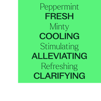 Thumbnail for Organic Peppermint Essential Oil Pre-Diluted Roll-On