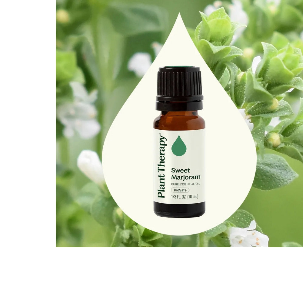 Sweet Marjoram Essential Oil