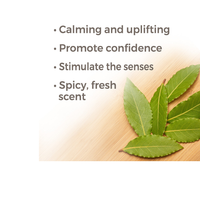 Thumbnail for Aceite Esencial de Hoja de Laurel