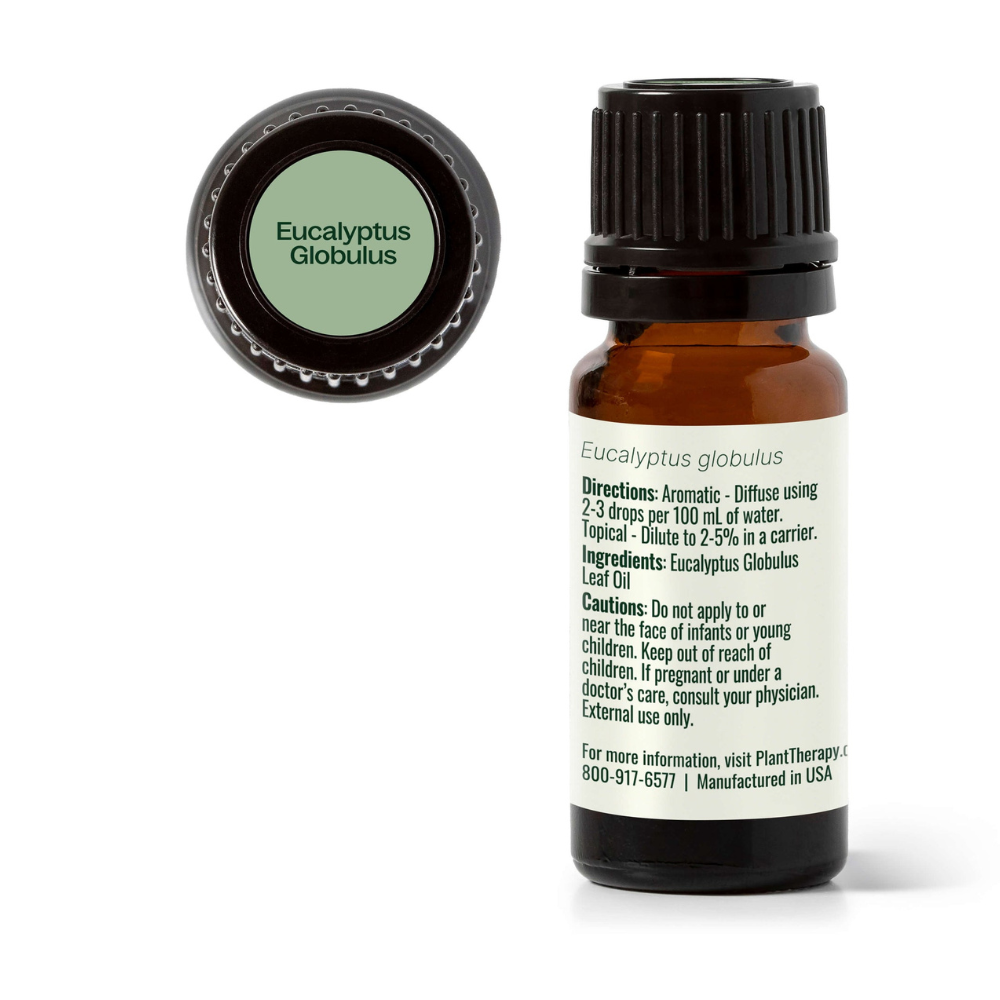 Eucalyptus Globulus Essential Oil