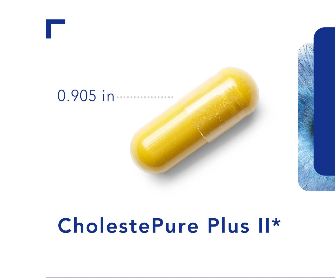 CholestePure Plus