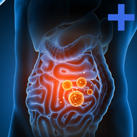 Thumbnail for GI-MAP - Panel de Salud Intestinal +