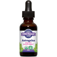 Thumbnail for Astragalus, Organic Extract