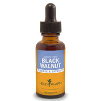 Thumbnail for Black Walnut - My Village Green