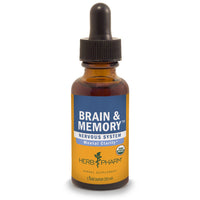Thumbnail for Brain & Memory - My Village Green