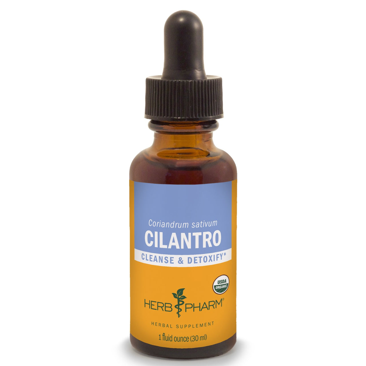 Cilantro - My Village Green