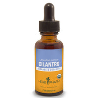 Thumbnail for Cilantro - My Village Green