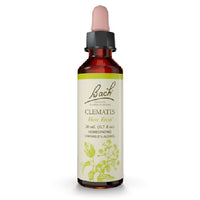 Thumbnail for Clematis - Bach Flower Remedies