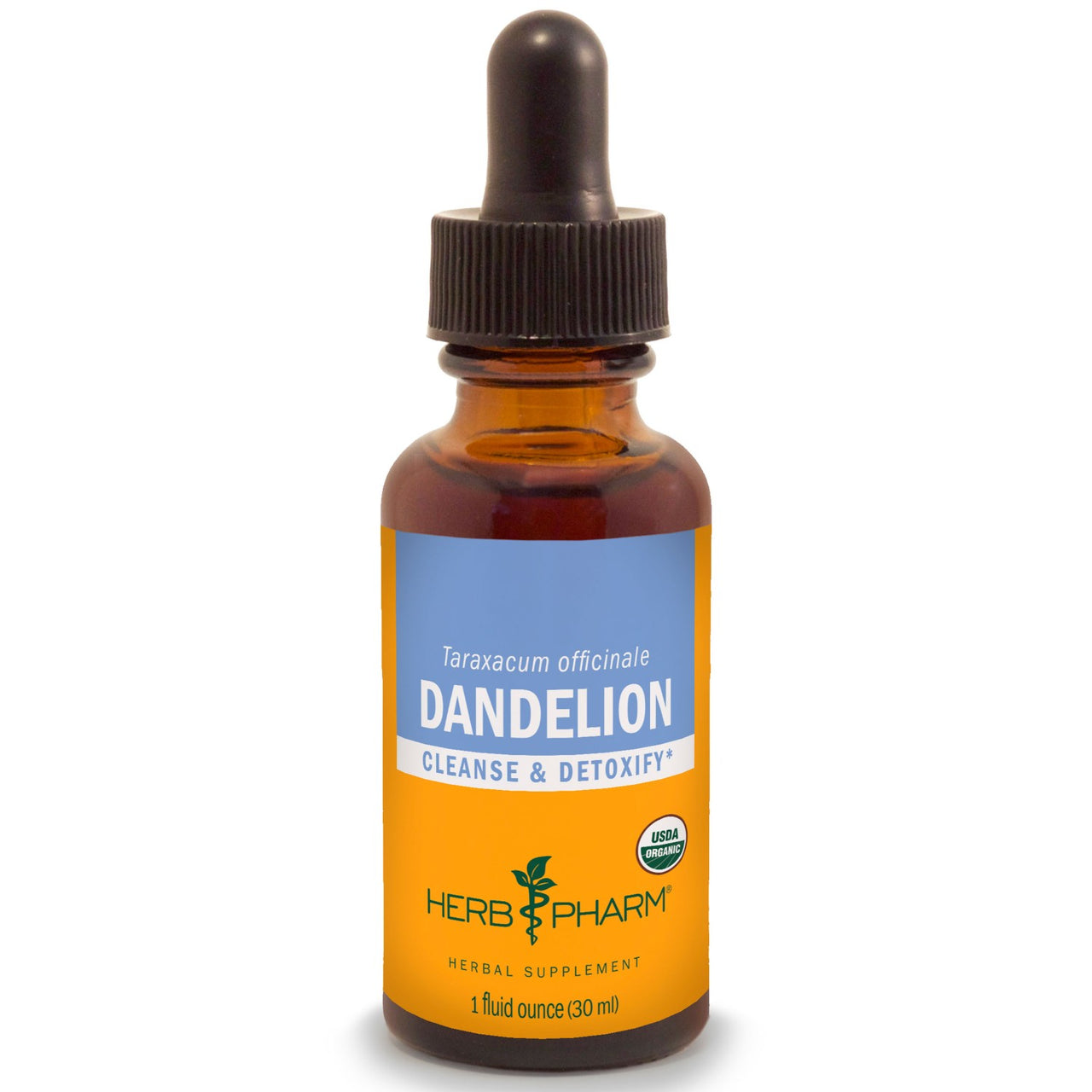 Dandelion - My Village Green
