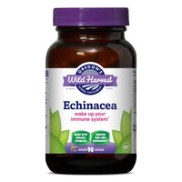 Thumbnail for Echinacea, Organic Capsules - My Village Green