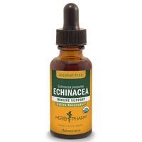 Thumbnail for Echinacea, Alcohol-Free - My Village Green