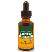 Thumbnail for Echinacea - My Village Green