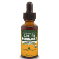 Thumbnail for Golden Echinacea - My Village Green