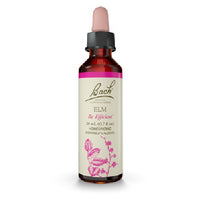 Thumbnail for Elm - Bach Flower Remedies