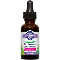 Thumbnail for Echinacea Purpurea