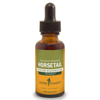 Thumbnail for Horsetail - My Village Green