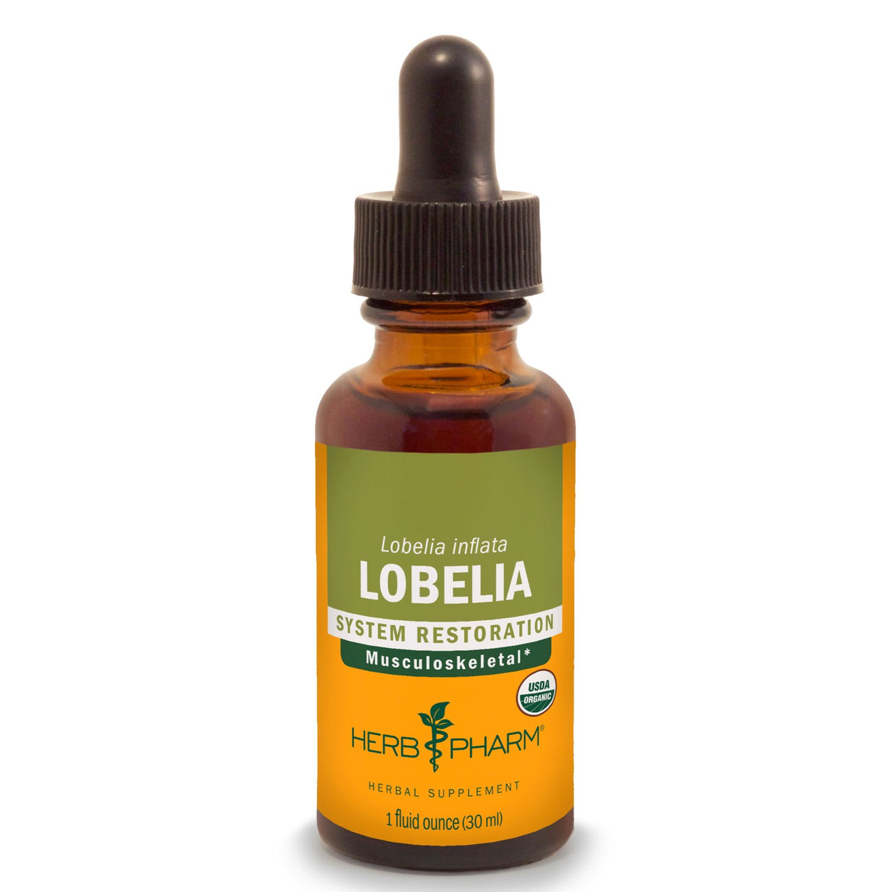 Lobelia - My Village Green