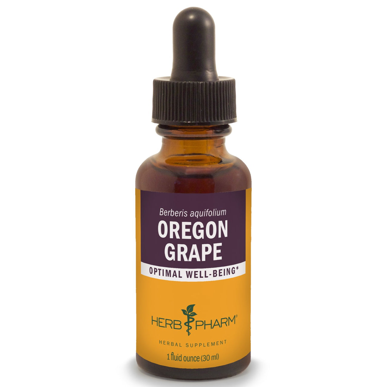 Oregon Grape - My Village Green