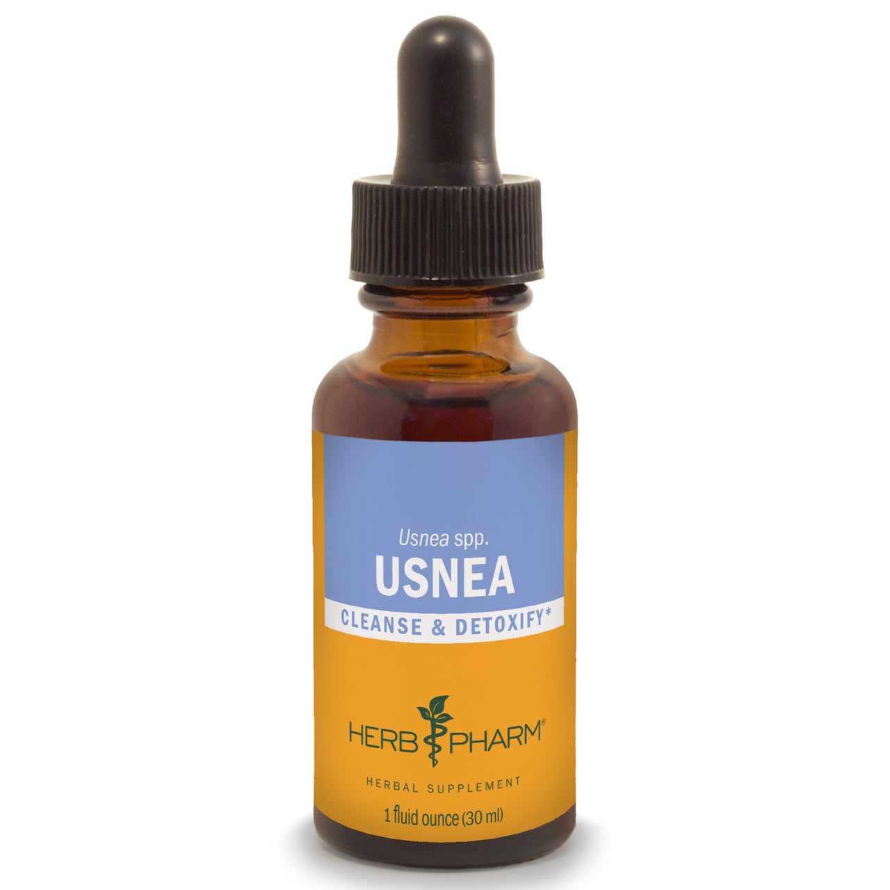 Usnea - My Village Green