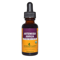 Thumbnail for Artemisia Annua