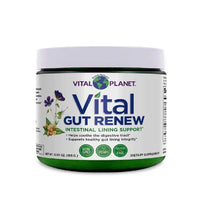 Thumbnail for Vital Flora Vital GUT Renew