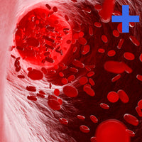 Thumbnail for Panel de Anemia +