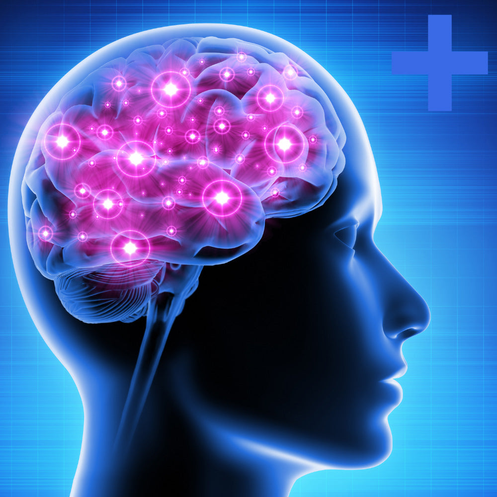 Panel de Química Cerebral +